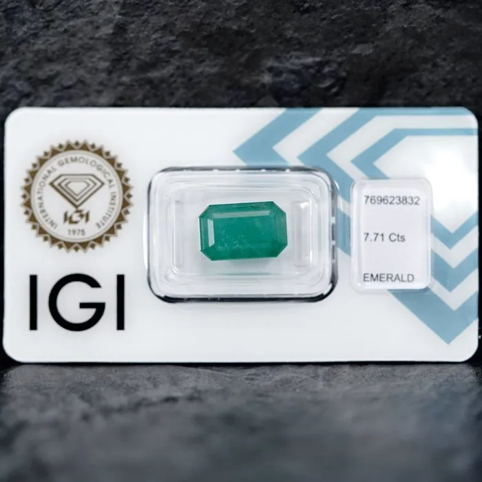 1 pcs Green Emerald - 7.71 ct - International Gemological Institute (IGI) - * Minor Oil *