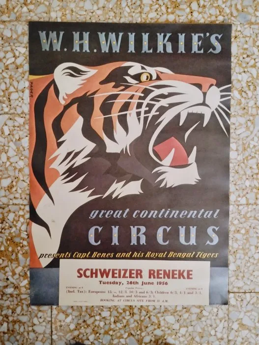 Pacer - Circus W.H. Wilkie's - 1970s