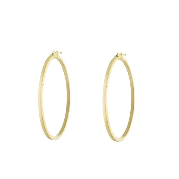 Earrings - 18 kt. Yellow gold - 18k earrings, 3.3 g