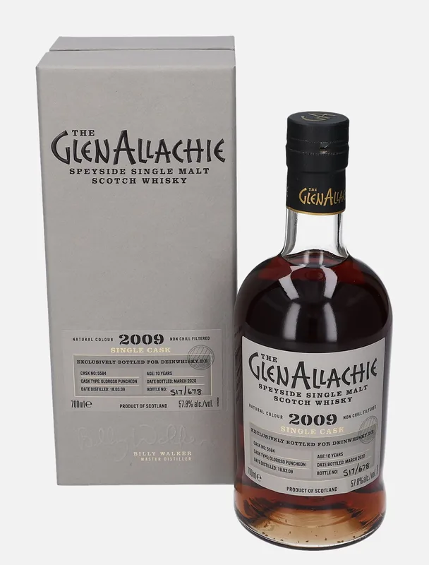 Glenallachie – 2009 10 Year Old