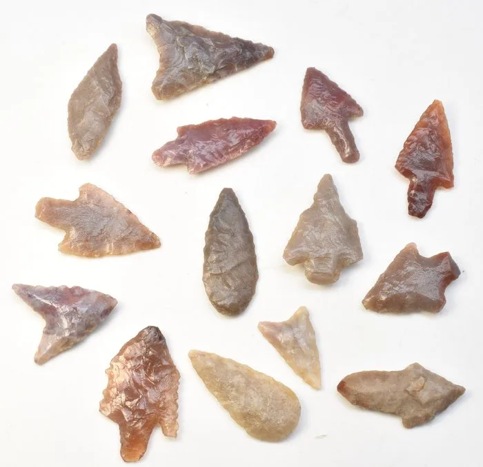 Neolithic Jasper, Flint 14 Arrowheads AA++