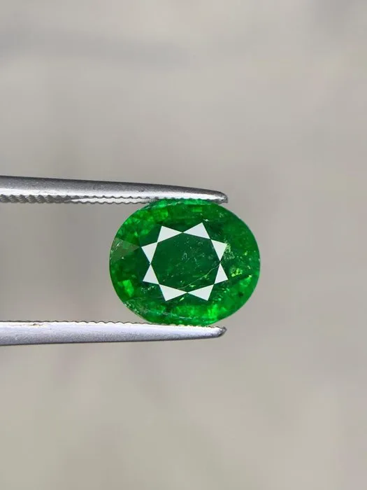 1 pcs Green Tsavorite - 4.88 ct - International Colored Gemstone Association (ICA GemLab)
