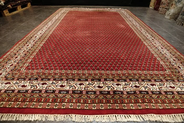 Sarough Mir - Carpet - 298 cm - 203 cm