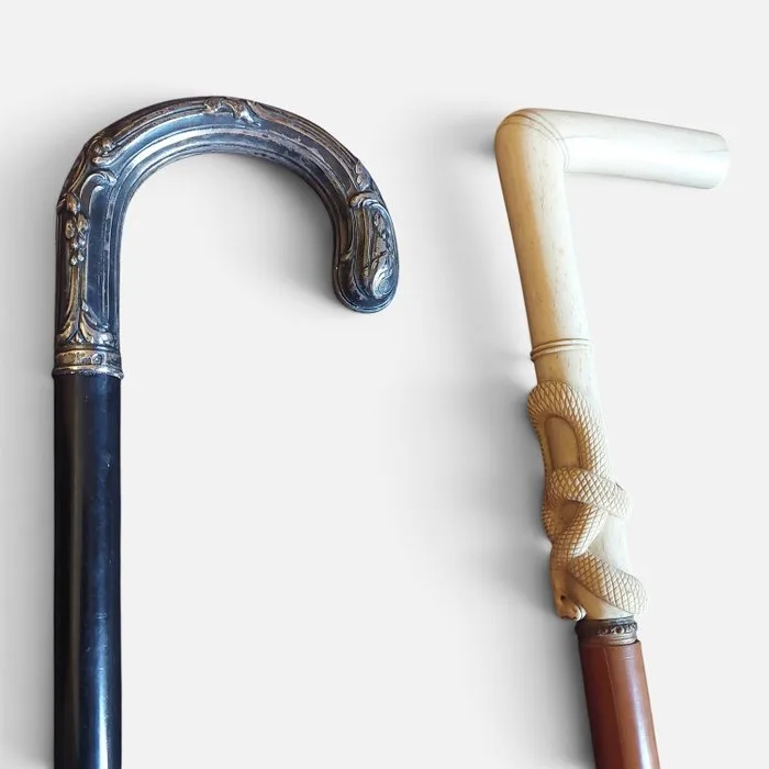 Walking stick (2) - Wood, Bone, Silver