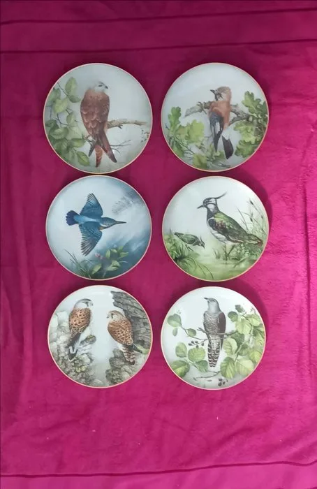 Limoges - Plate (6) - Wild Birds /International Council for Birds Preservation - Porcelain - Limoges By Haviland