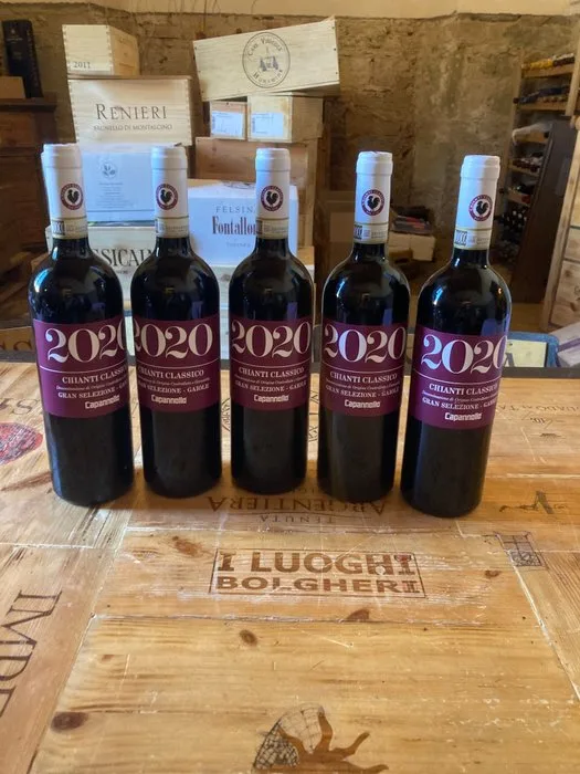 2020 Capannelle, Chianti Classico Gran Selezione Gaiole - Chianti Gran Selezione - 5 Bottle (0.75L)