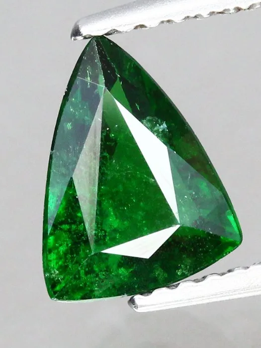 1 pcs Green Garnet, Tsavorite - 1.27 ct - Antwerp Laboratory for Gemstone Testing (ALGT)