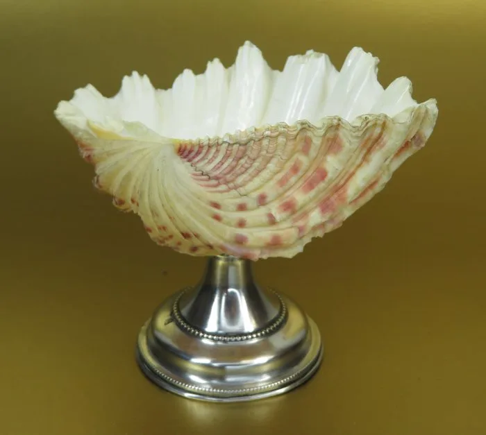 Presenteer schaaltje met schelp, Cornelis Johannes Middendorp, Rotterdam - Platter -.833 silver