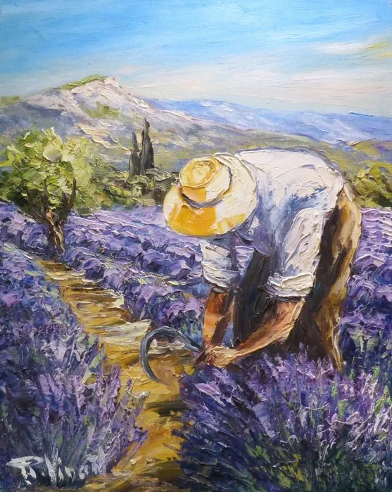 R. Vincent (1954) - Les lavandes en Provence cote d'Azur oeuvre de Vincent Rallo