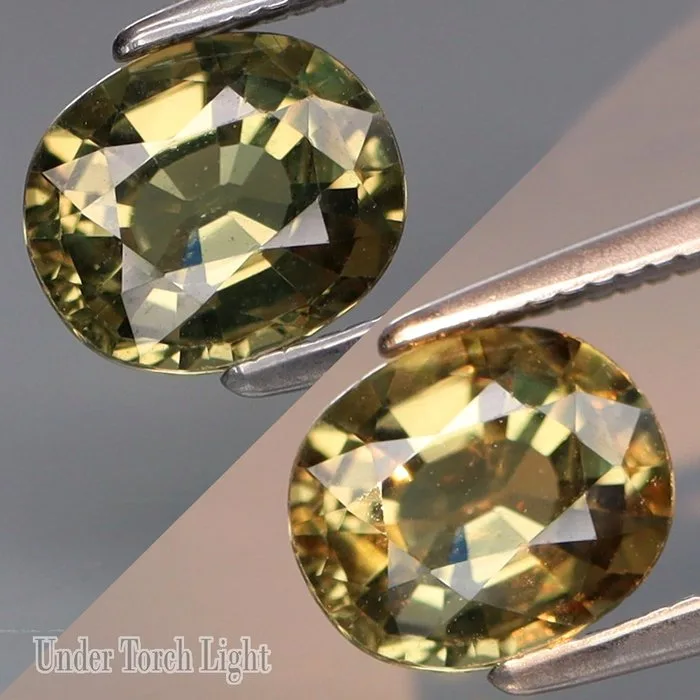 1 pcs Yellow, Green, Brown, Red Alexandrite - 1.62 ct - International Gemological Institute (IGI) - Alexandrite