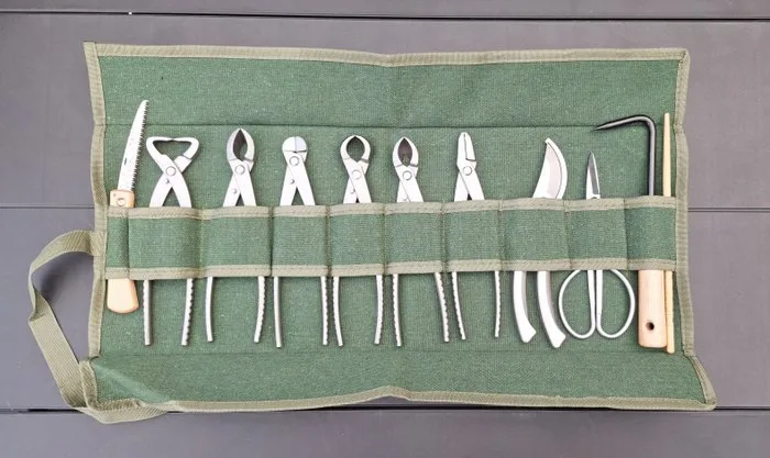 Carving set (12) - Bonsai Toolset Stainl.st