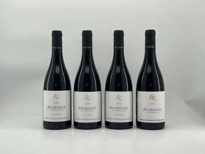 Domaine Sylvain Cathiard & Fils, Bourgogne Rouge 2018, 2019 x2, 2021 - Burgundy - 4 Bottles (0.75L)