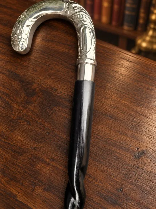 Walking stick - Wood, Brass