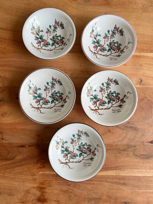 Villeroy & Boch - Table service (5) - Botanica - Porcelain