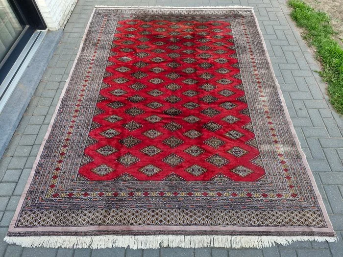 Buchara - Carpet - 296 cm - 216 cm