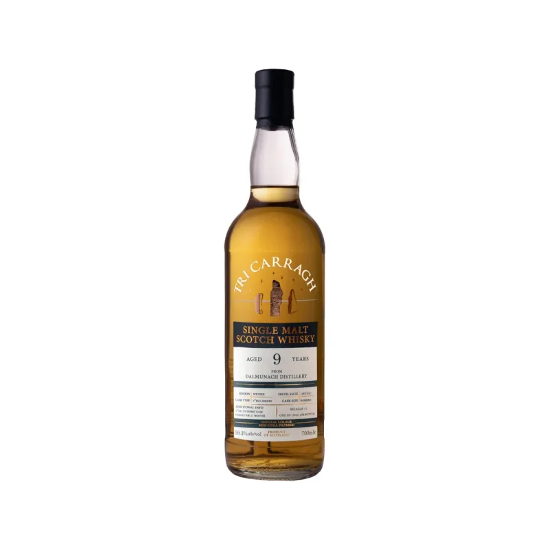 Dalmunach – 9 Year Old Tri Carragh