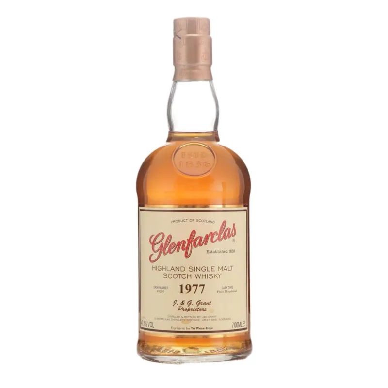 Glenfarclas – 1977 Single Cask #8203 - The Whisky Hoop