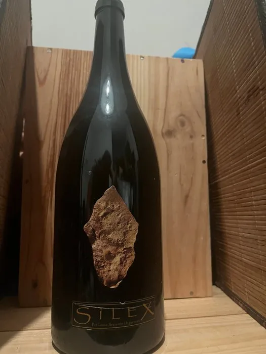 2018 Domaine Didier Dagueneau Silex - Loire - 1 Magnum (1.5L)