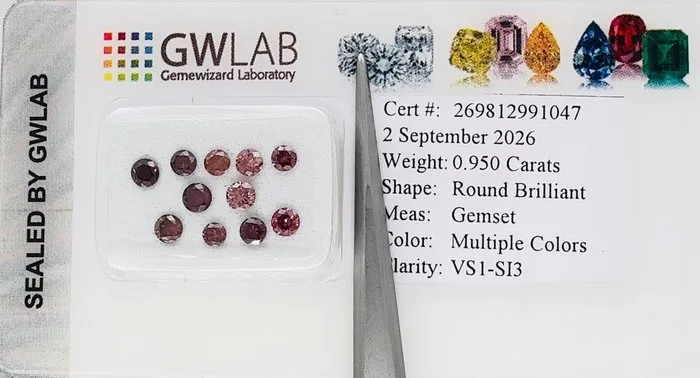 11 pcs Diamond (Colour-treated) - 0.95 ct - Round Pink, Purple, Brown - SI3, VS1 - Gemewizard Gemological Laboratory (GWLab)
