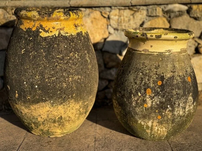 Flower pot - Terracotta - Pair of large ancient glazed terracotta jars