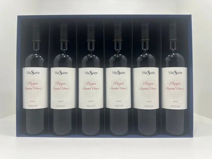 2021 Bodegas Hnos. Sastre, Viña Sastre - Pago de Santa Cruz - Ribera del Duero - 6 Bottles (0.75L)