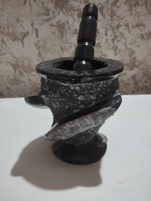 Fossilised animal - 12.5 cm - 10.5 cm