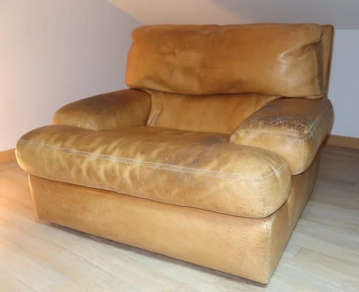 Roche Bobois - Armchair - Leather - patinated leather