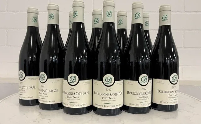 2023 Domaine Françoise André, Bourgogne Côte d'Or Pinot Noir - Burgundy - 12 Bottles (0.75L)