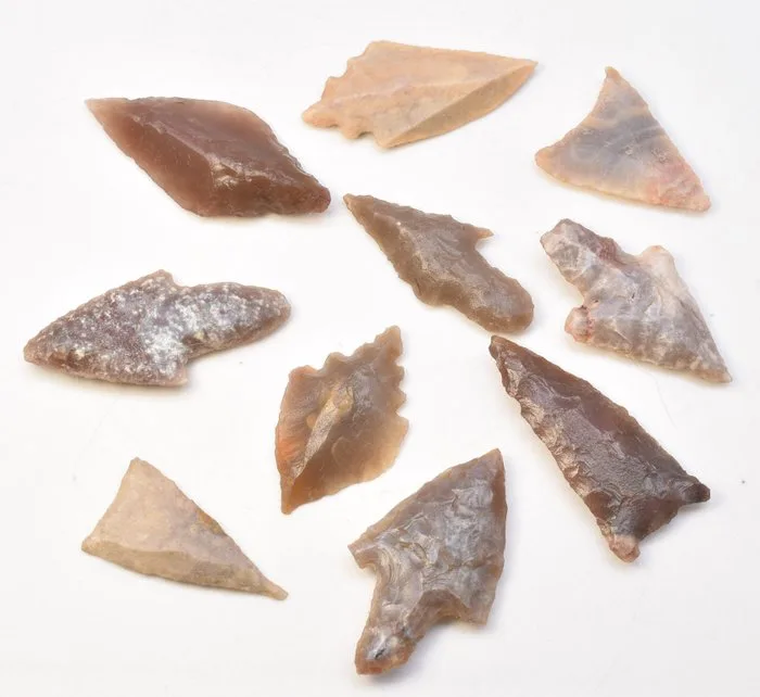 Neolithic Jasper, Flint 10 Arrowheads AA++