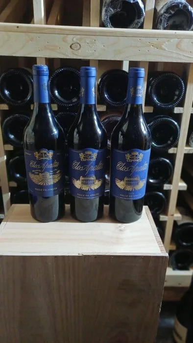 2015 2016 & 2014 Clos Apalta - Aconcagua Valley - 3 Bottles (0.75L)