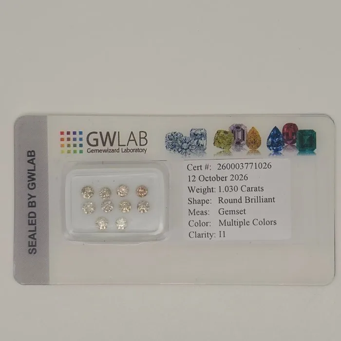 10 pcs Diamond (Natural coloured) - 1.03 ct - Round Greyish, Brownish Mixed brown, Grey - I1 - Gemewizard Gemological Laboratory (GWLab)