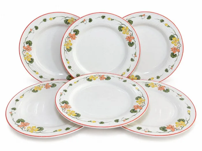 Villeroy & Boch - Plate (6) - Evolution - VITRO Porcelain