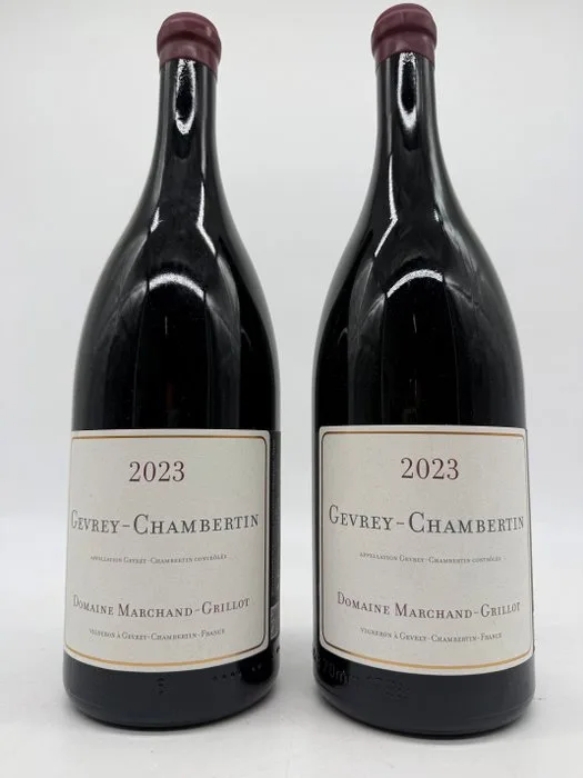 2023 Domaine Marchand-Grillot - Gevrey Chambertin - 2 Magnums (1.5L)