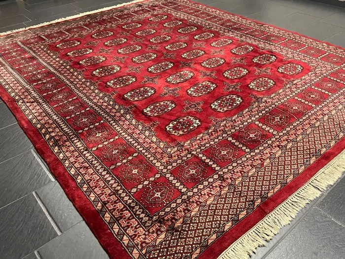 Buchara - Carpet - 300 cm - 255 cm