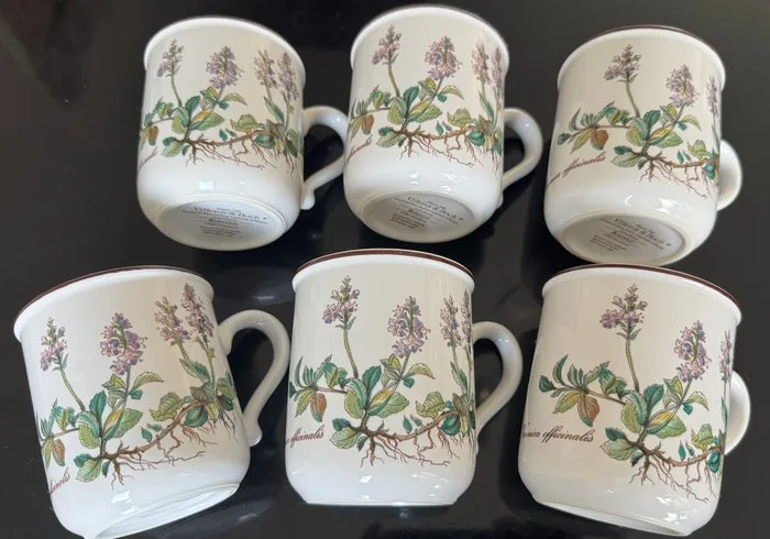 Villeroy & Boch - Coffee set (6) - botanica - Porcelain