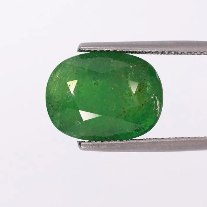 1 pcs Green Tsavorite - 13.72 ct - Asian Institute of Gemological Sciences (AIGS)