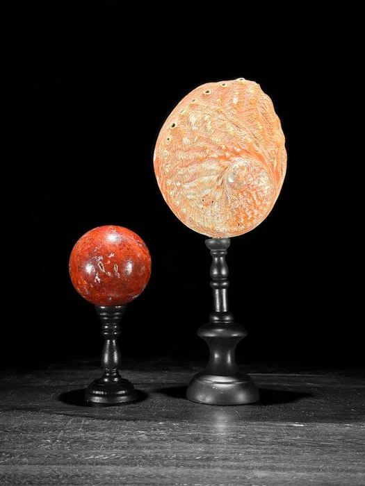 Decorative ornament - Stunning pair of Red Jasper Sphere and Red Abalone Shell on custom stands
