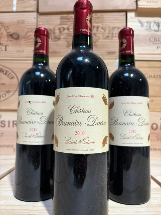 2010 Château Branaire Ducru - Saint-Julien 5ème Grand Cru Classé - 3 Bottles (0.75L)