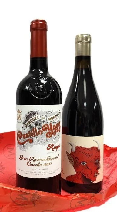 2011 Castillo Ygay, gran reserva especial & 2022 Oxer Bastegieta, Ahari. Author wine - Rioja - 2 Bottles (0.75L)