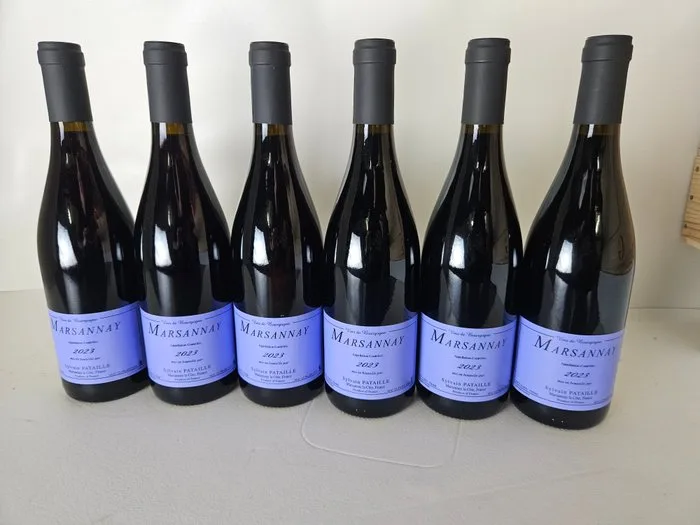 2023 Sylvain Pataille - Marsannay - 6 Bottles (0.75L)
