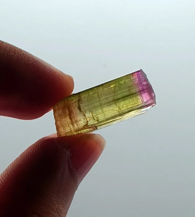 Tourmaline Crystal - Height: 23 mm - Width: 10 mm- 2.46 g - (1)