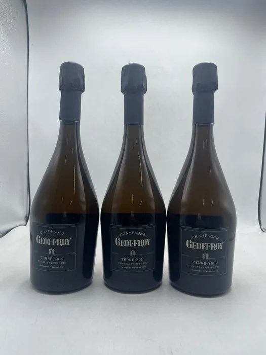 2015 Geoffroy Champagne 1er Cru Terre Brut Nature - Champagne AOC - 3 Bottles (0.75L)