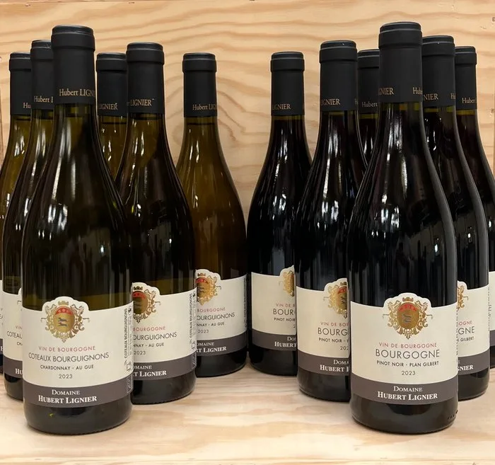 2023 x 6 Domaine Hubert Lignier Coteaux Bourguignons blanc "Au Gué" & x 6 Bourgogne rouge "Plan Gilbert" - Burgundy Vin de Bourgogne - 12 Bottles (0.75L)