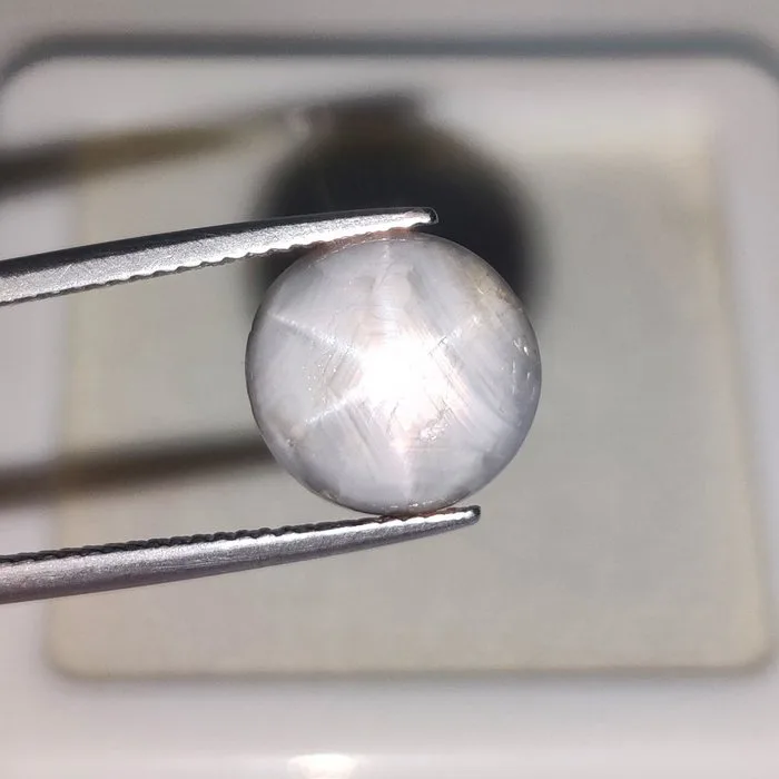 1 pcs Grey Star Sapphire - 8.66 ct - International Colored Gemstone Association (ICA GemLab) - Unheated Star Sapphire