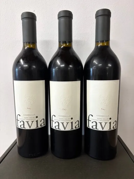 2019 Favia Coombsville Cabernet Sauvignon - Napa Valley - 3 Bottles (0.75L)