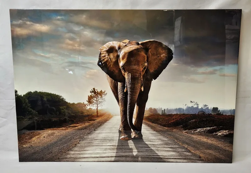 Large Photographic Print on Canvas, elephant, approx. 100cm W x 70cm H