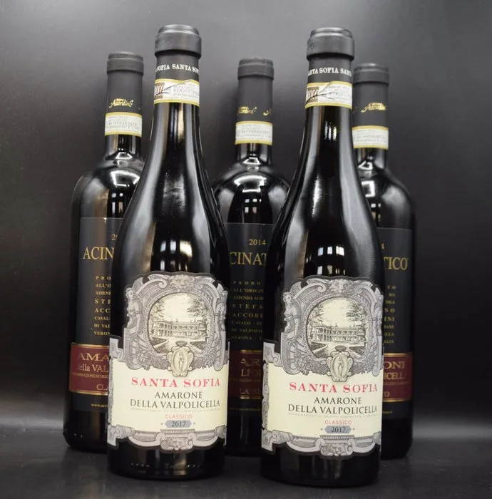 Santa Sofia 2017 & Stefano Accordini "Acinatico" 2014 - Amarone della Valpolicella Classico - 5 Bottles (0.75L)