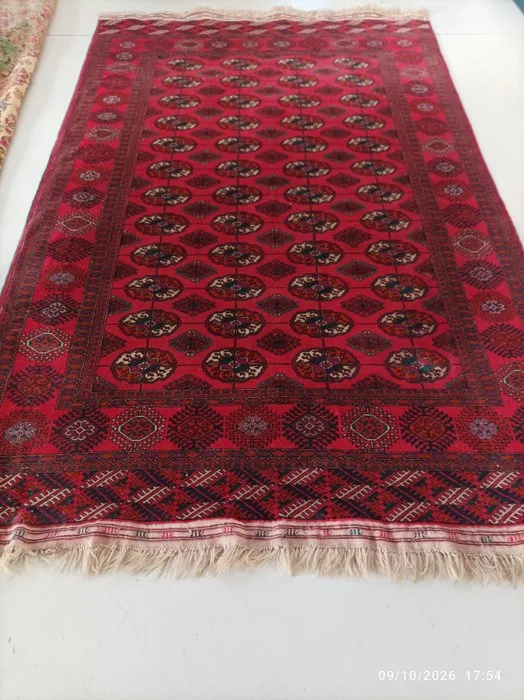 Buchara - Rug - 245 cm - 162 cm