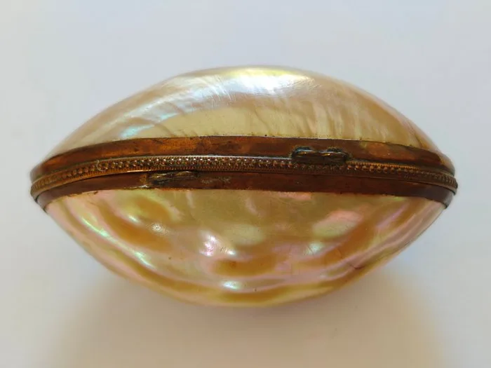 Pillbox - Shell
