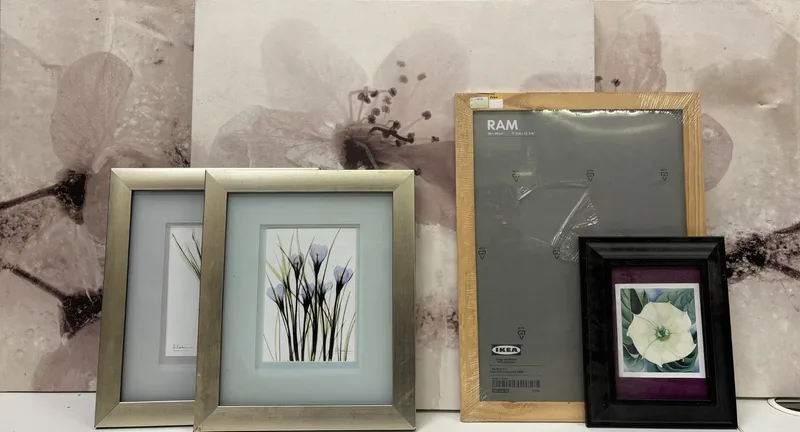 Trio of large floral canvasses, pair of framed crocus prints, floral framed print & an unopened Ikea picture frame